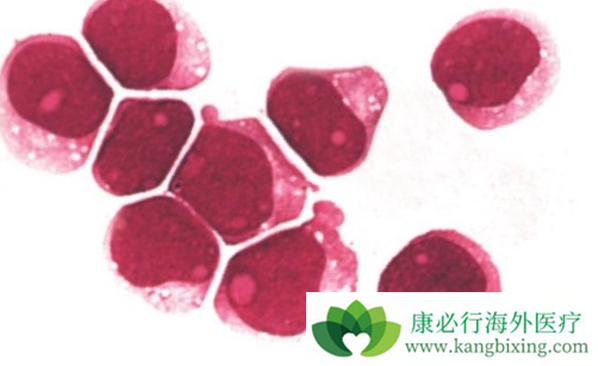 ��Ѫ��������