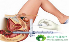 �ȿ�³��Ƭ������ǰ���ٰ�����������