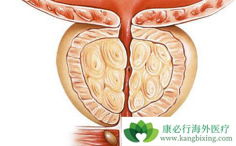 ����ҽ��