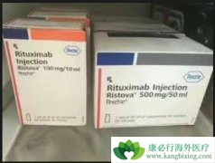 �����ܰ�����ͨ������������(Rituximab)���Ƶõ�����