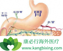 ���ٰ�������Ŀ���������ٰ������߷�Ӧ