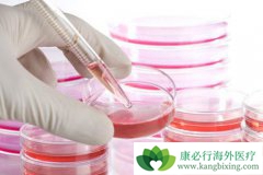 ����ҽ�����о����ֲ������ĸ�ϸ�����ܱ��ɹ�ת��