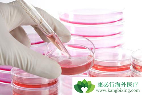 ����ҽ��