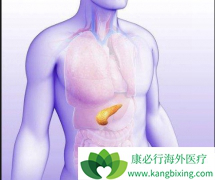 ���ٰ�֢״�����ڻ������������Щ�ط�