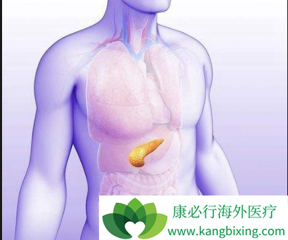 胰腺癌症状在早期会表现在人体哪些地方