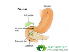 ���ٰ������Ʒ������Ҫ����ѡ��