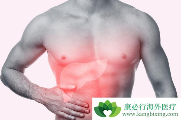 ��Ӳ��������������