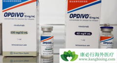 PD-1���Ƽ�ŷ����(Opdivo)���÷�������ʹ��ע������