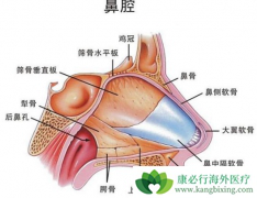 ���ڱ��ʰ�֢״����Щ��ʲô���ص��±��ʰ�����