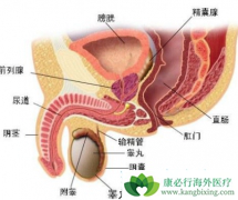 ǰ���ٰ�֢�ķ�������������Щԭ���й�ϵ