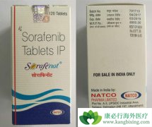 ӡ�ȶ༪���۸����ԭ��ҩ�۸��������