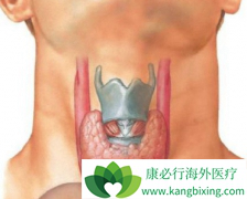 ��״�ٰ�֢�ķ���������Լ��������й�