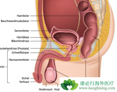 ����غ�谩֢״�������ֱ���Ҫ����