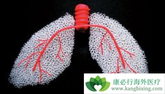 ����ҽ�Ƹ��������ά����֢״����Щ��