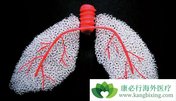 ����ҽ��