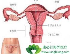 ���������ӹ���֢״Ӧ��ʱ��ҽ���м��