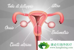 �ӹ���Ϊ�η����ʸߣ������ӹ���֢״����Щ