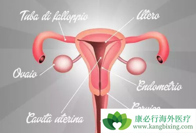 子宫癌症状 子宫癌症状