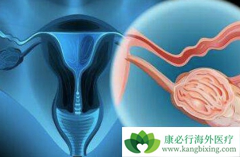 �ӹ���֢״Ӧ�ü��緢�ּ�������