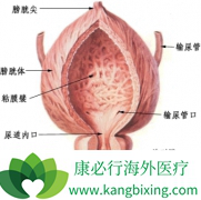 ���������֢״С���ǰ��װ�֢״