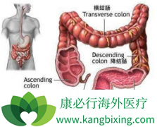 ��Щ���������Ǵ󳦰�֢״���󳦰�֢״������