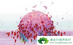 ����ҽ�Ƹ���������ΰ����߸��ʺ��������Ʒ���