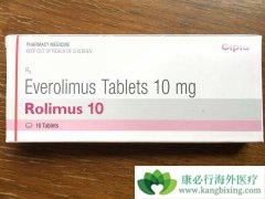 ӡ����άĪ˾/����������Ч����ԭ��ҩ������