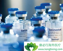 ����˾��(Beleodaq)���÷�������ʹ��ע������