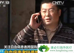 �Ҳ���ҩ��ԭ��½����һ�������İ�Ѫ������