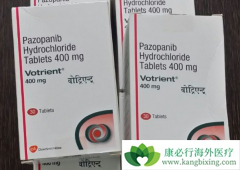 ��������(pazopanib)����Ч�ӳ��ѳ������ߵ��޲�������