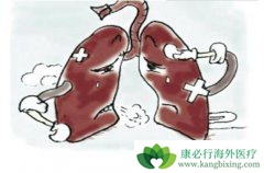 �ΰ���Ⱦ�������и����������Ԥ���ΰ���