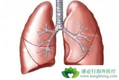 ��ǰ�˽�ΰ���֢״�����ڻ��ߵĹ淶������