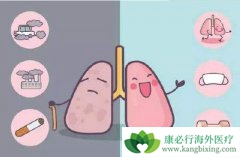 ��Сϸ���ΰ����߽���ҩ�ﻯ�Ƶĳ���������Ӧ����Щ