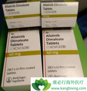 ���۰������ð�������(AFATINIB)���ƺû������޿���