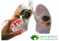 ǳ���ΰ����Ƹ����ü����ճ���������