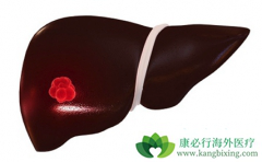 ������(STIVARGA)�ܷ�������������Ϊ���ڸΰ�һ����ҩ