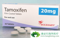 ��Ī����(tamoxifen)�ĸ����ò�Ӧ��Ϊ��ҩԭ��