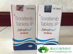 ӡ�ȶ༪���۸���ԭ��ҩ�۸�Ķ�ʮ��֮һ