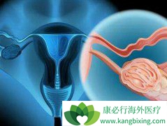 ����ҽ�Ʒ���ƫ��������ʳ���Ů�Ը��׵��ӹ���