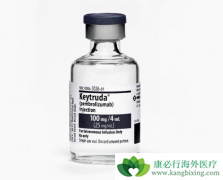 PD-1���Ƽ���ķ���������������ƶ�����Ĥ��Ƥ����