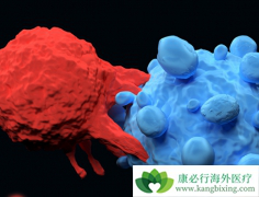 allo-HSCT�󸴷��������ȷ��CAR-Tϸ�������Ʒ������ƴ�