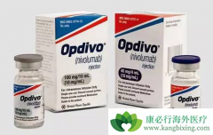 PD-1���Ƽ���ķ������Ϊ��������θ��ҩ��Ч����Σ�