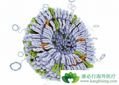 CAR-Tϸ���Ʒ�����������Bϸ���ܰ��������ʸ�