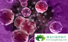 ��ķ����(Keytruda)����ʱ������Ƿ��Ӱ��������Ч��