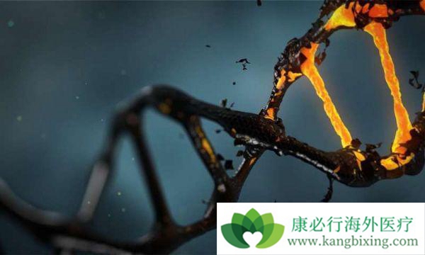 ����ҽ��