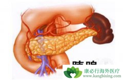 ���ٰ������ʺܸ���˼�ʱ�������ٰ�֢״����Ҫ