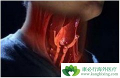 �����ʺ���֢״��ʲô��������֢״�кβ�ͬ��