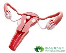 �ӹ���֢״����Щ����ʲô����������ǰԤ����