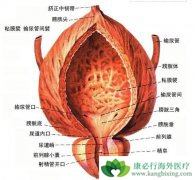 ���װ�����ô����ģ����ڰ��װ�֢״����Щ��