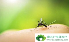 ����ҽ�Ƹ���������Ű��zika���������Ԥ����